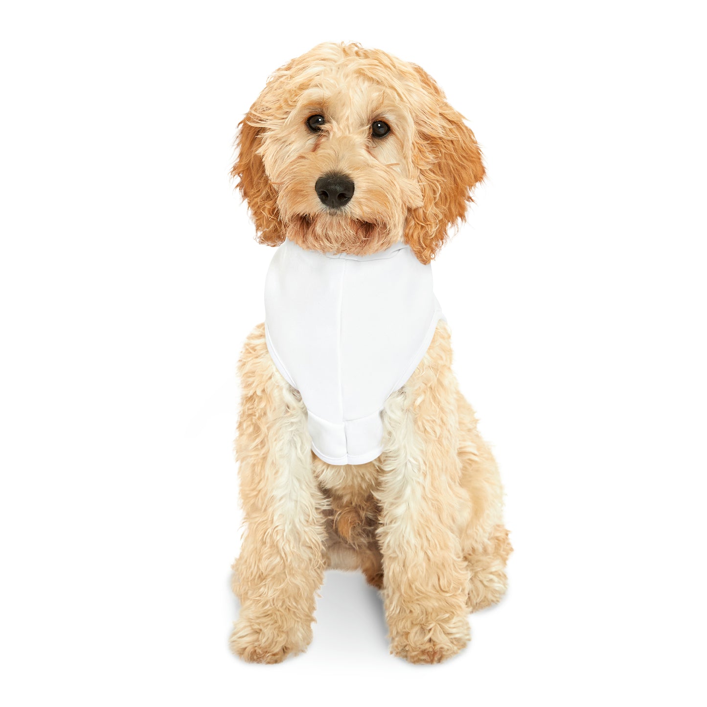 Dad's Wing Woman Dog Hoodie