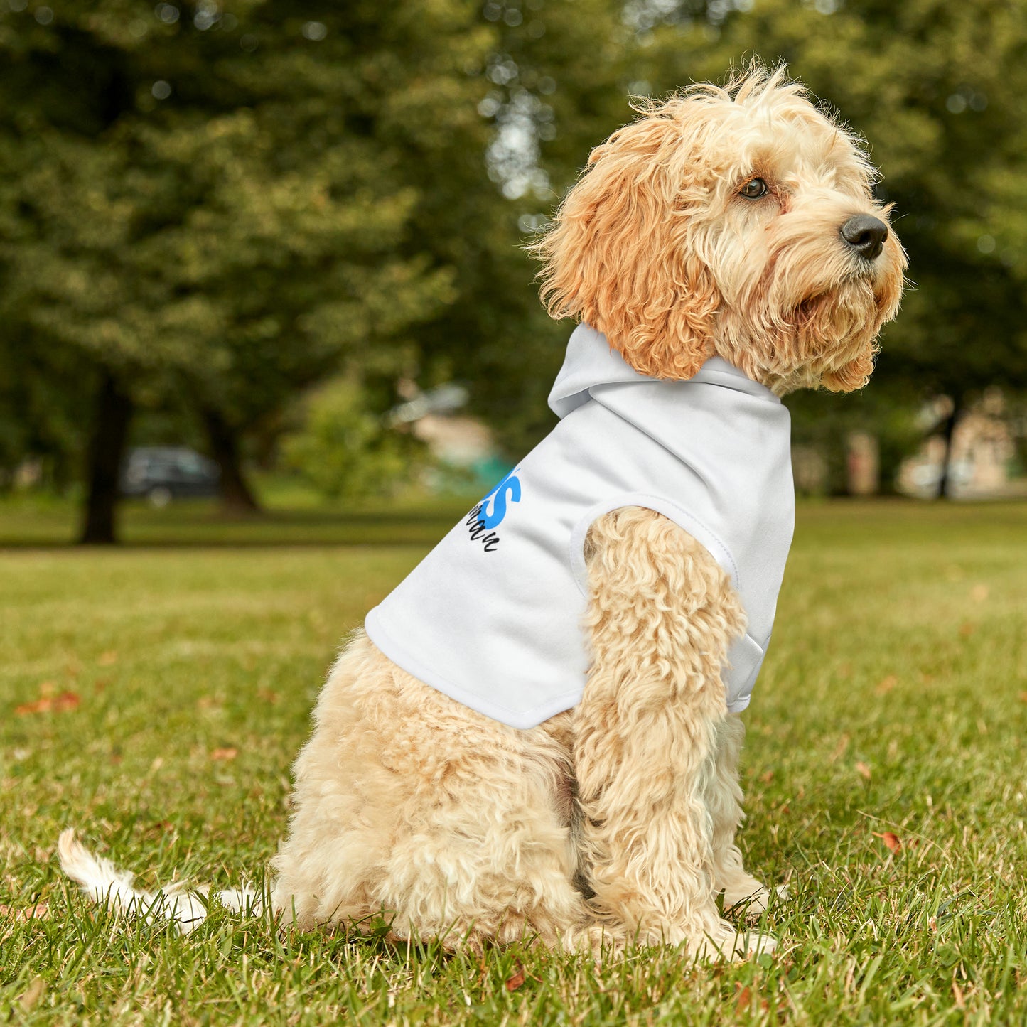 Dad's Wing Woman Dog Hoodie