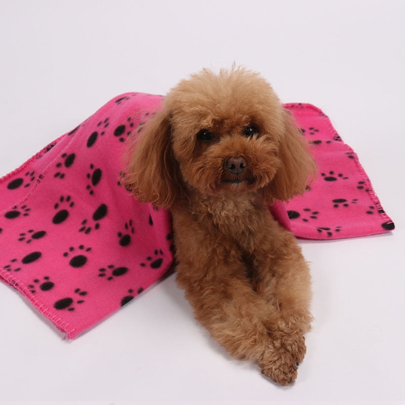Pet Blanket